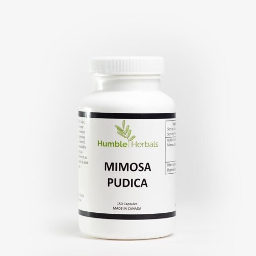 Humble Herbals - Mimosa Pudica